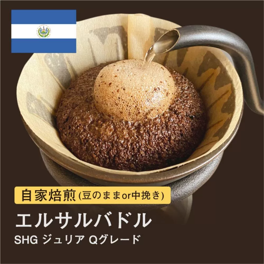 【豆】#043 エルサルバドルSHG ジュリア Qグレード コーヒー豆 310g 当日焙煎 大山珈琲