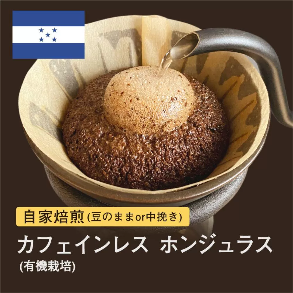 【豆】#096 カフェインレス ホンジュラス コーヒー豆 310g 当日焙煎 大山珈琲