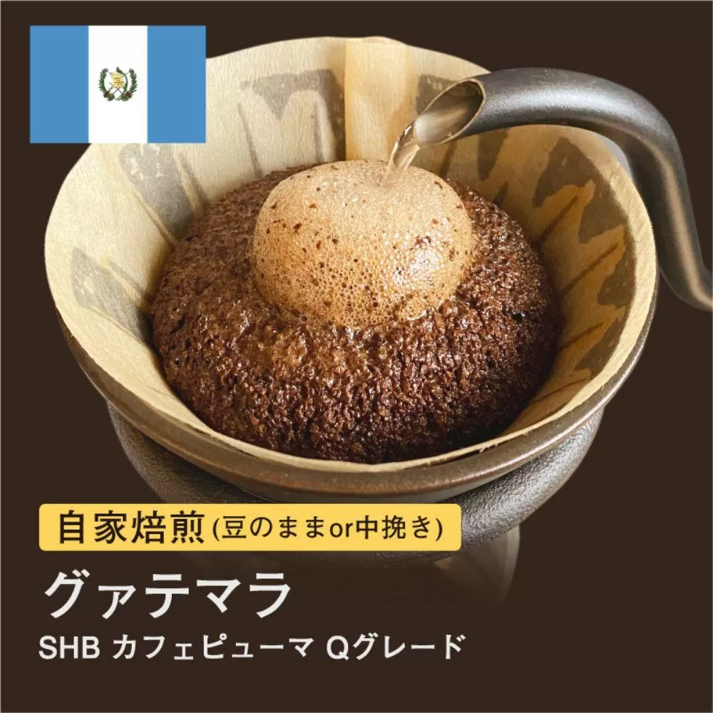 【粉】#049 グァテマラSHB カフェピューマ Qグレード コーヒー豆 310g 当日焙煎 大山珈琲