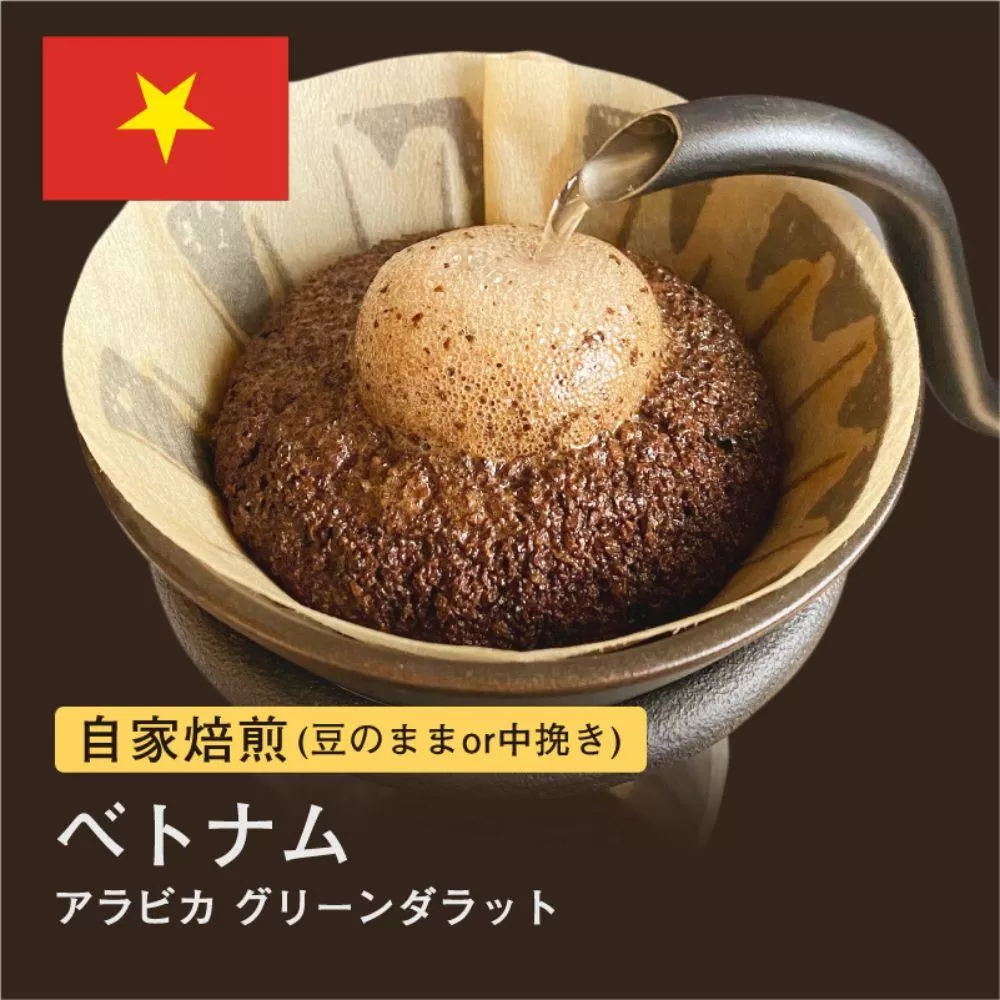 【豆】#172 ベトナム アラビカ グリーンダラット コーヒー豆 310g 当日焙煎 大山珈琲