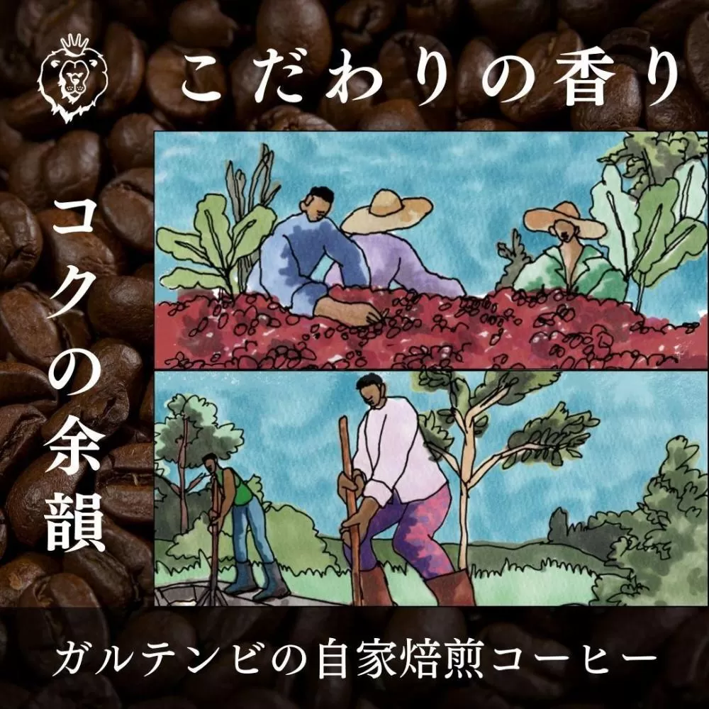 ガルテンビコーヒー 2種飲み比べセット　豆のまま　500g（250ｇ×2袋）