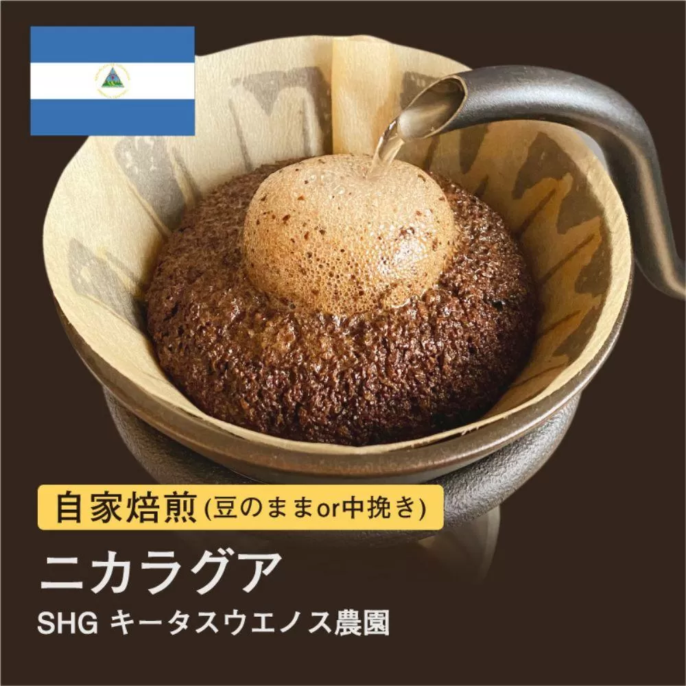 【粉】#038 ニカラグア SHG キータスウエノス農園 コーヒー豆 310g 当日焙煎 大山珈琲