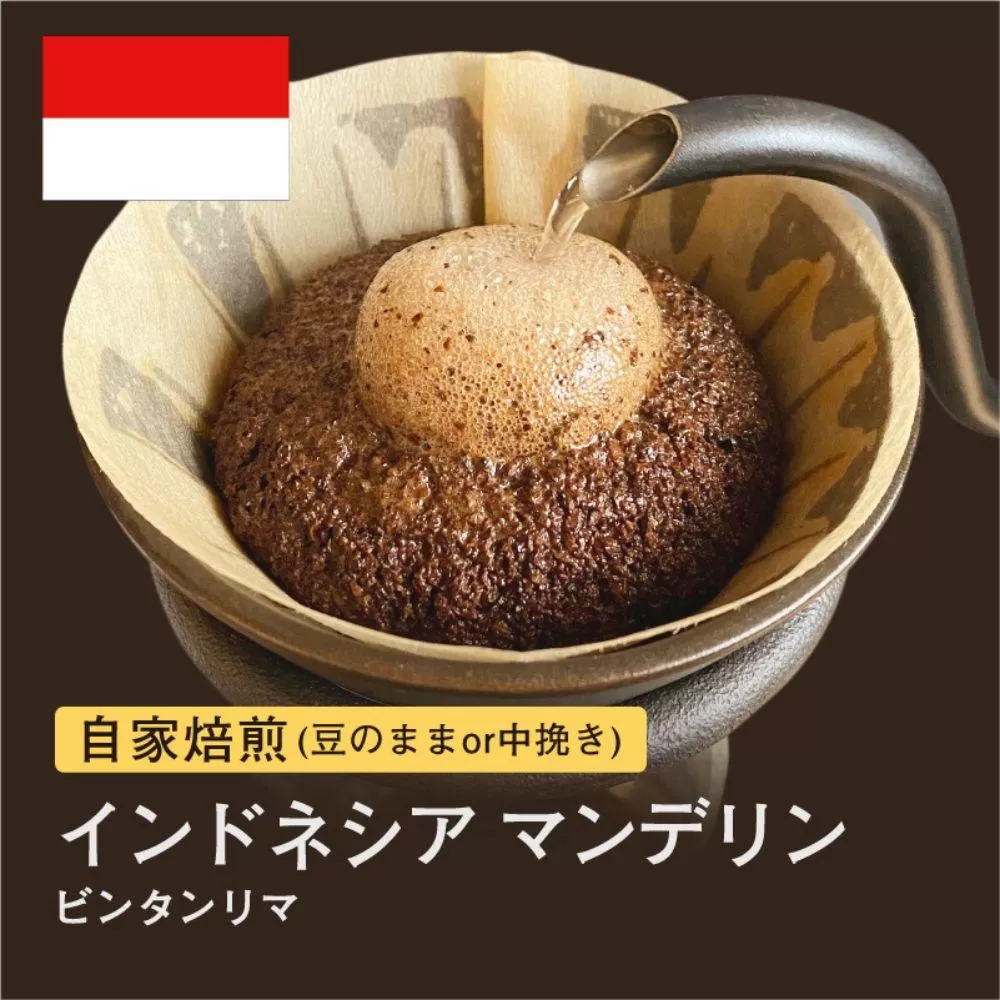 【粉】#075 インドネシア マンデリン ビンタンリマ コーヒー豆 310g 当日焙煎 大山珈琲