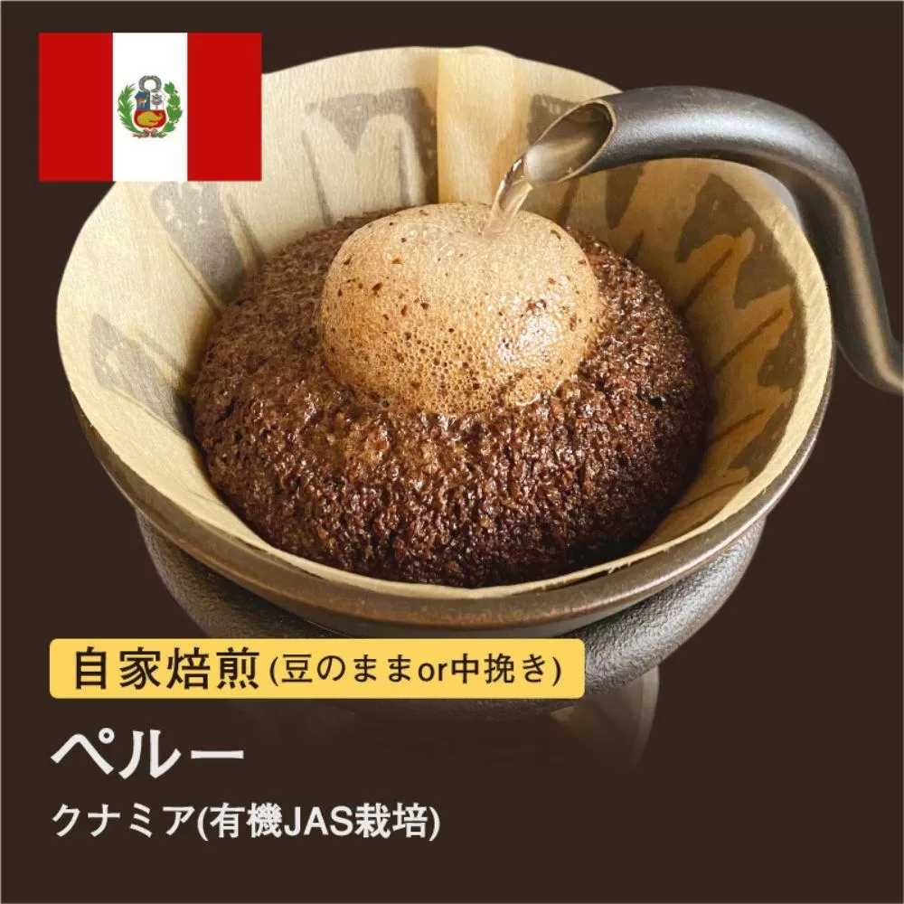 【豆】#030 ペルー クナミア コーヒー豆 310g 当日焙煎 大山珈琲