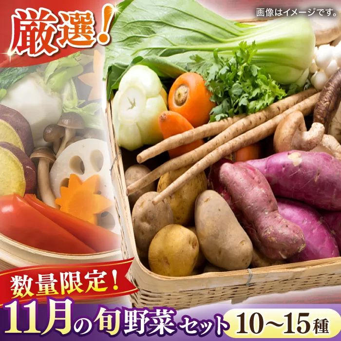 【数量限定】厳選！旬を味わう高槻野菜おまかせ詰め合わせセット 11月（10種〜15種）　大阪府高槻市/高槻あぐり[AOCS017] [AOCS017]