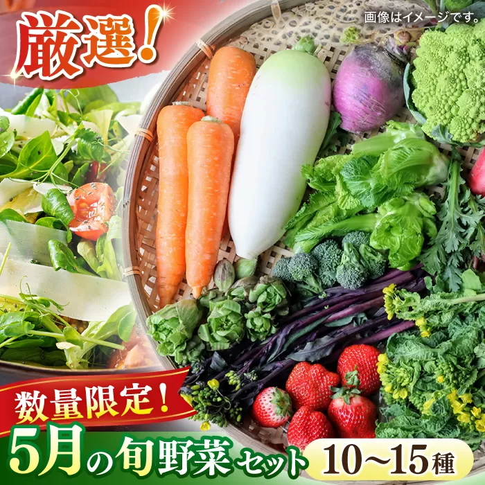 【数量限定】厳選！旬を味わう高槻野菜おまかせ詰め合わせセット 5月（10種〜15種）　大阪府高槻市/高槻あぐり[AOCS011] [AOCS011]