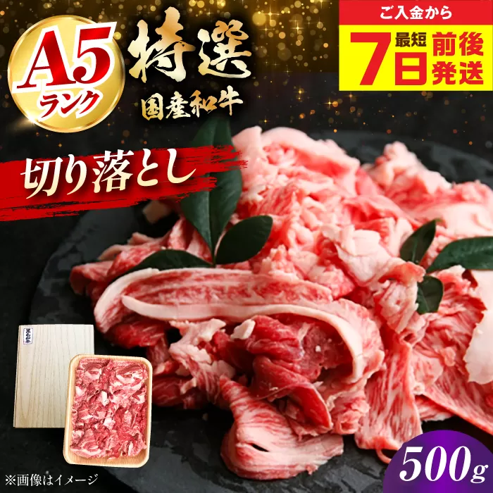 【最短7日前後発送】国産和牛切落し 500ｇ 冷凍 肉 お肉 牛肉 和牛 黒毛和牛 国産 国産牛 牛バラ バラ肉 バラ肉 切り落とし すき焼き すきやき カレー 肉じゃが 牛丼 大阪府高槻市/株式会社ミートモリタ屋 [AOAI049]