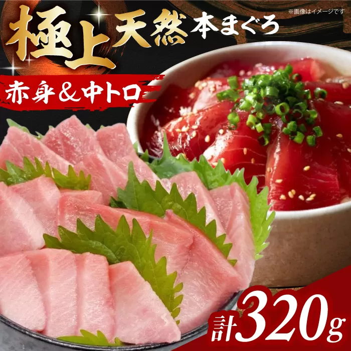 極上!たね熟天然本まぐろ赤身&中トロセット(320g 各160g) 大阪府高槻市/本まぐろ直売所 [AOCE002] 鮮魚 新鮮 お取り寄せ おすすめ 魚