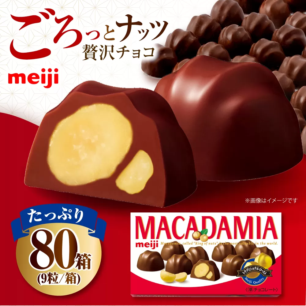 明治 マカダミアチョコレート 9粒×80箱  チョコレート 明治 チョコ ナッツ 大容量 大阪府高槻市/株式会社 丸正高木商店 [AOAA035]