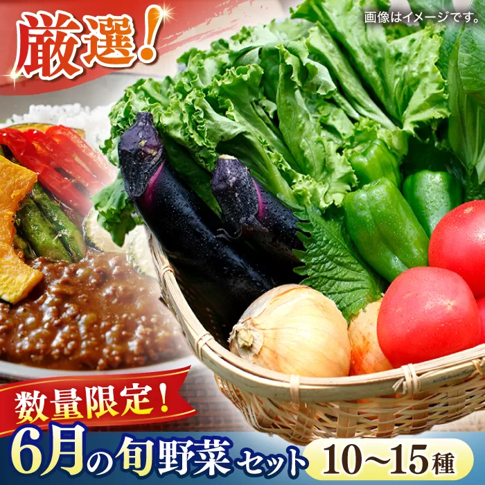 【数量限定】厳選！旬を味わう高槻野菜おまかせ詰め合わせセット 6月（10種〜15種）　大阪府高槻市/高槻あぐり[AOCS012] [AOCS012]