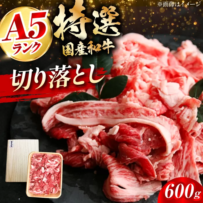 国産和牛切落し 600g 大阪府高槻市/株式会社ミートモリタ屋[AOAI010]