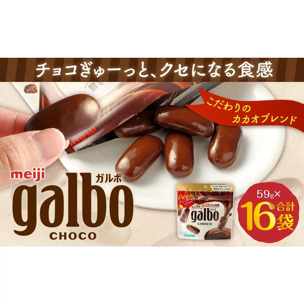 ガルボチョコパウチ 16袋セット