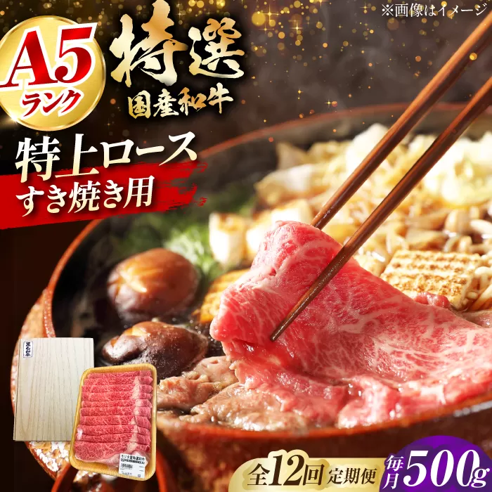 【全12回定期便】国産和牛特上ロースすき焼き用 500ｇ 冷凍 肉 お肉 牛肉 和牛 黒毛和牛 国産 国産牛 うす切り 切り落とし すき焼き すきやき カレー 肉じゃが 牛丼 大阪府高槻市/株式会社ミートモリタ屋 [AOAI056]