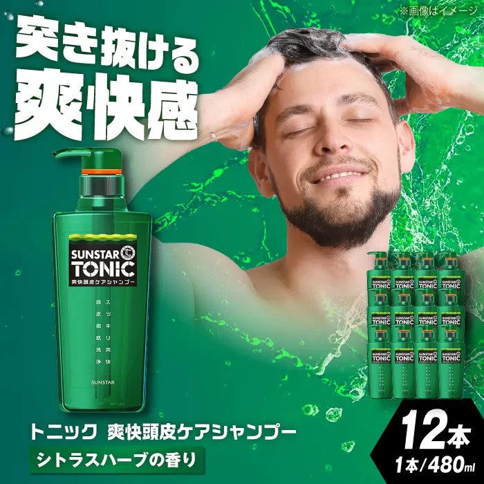 サンスタートニックシャンプー 480ml×12本[シトラスハーブの香り] シャンプー メンズ 男性 大容量 まとめ買い 大阪府高槻市/サンスター[AOAD030]