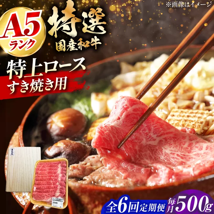 【全6回定期便】国産和牛特上ロースすき焼き用 500ｇ 冷凍 肉 お肉 牛肉 和牛 黒毛和牛 国産 国産牛 うす切り 切り落とし すき焼き すきやき カレー 肉じゃが 牛丼 大阪府高槻市/株式会社ミートモリタ屋 [AOAI055]