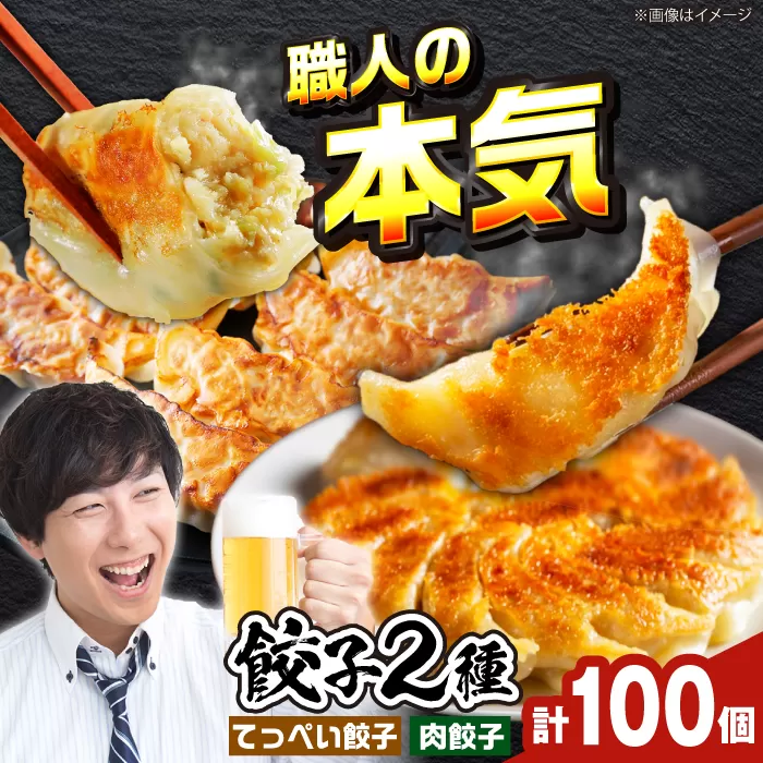 合計100個　石田てっぺい【肉餃子50個＆てっぺい餃子50個】　ラーメンやビールとの相性バッチリ　大阪府高槻市/無人屋[AOCX004] [AOCX004]