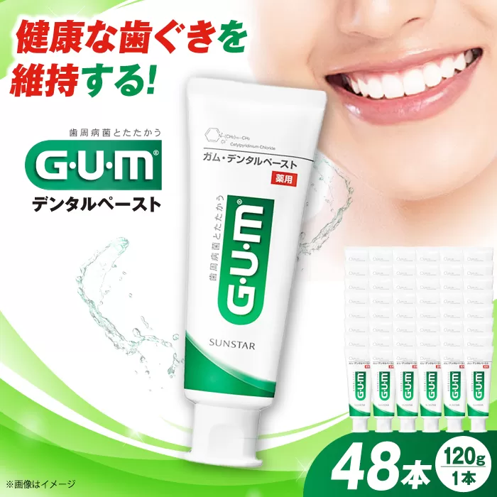 GUM デンタルペースト(ST) 120g×48本 歯磨き 歯みがき ハミガキ 歯周病 虫歯 口臭 大阪府高槻市/サンスター[AOAD011]