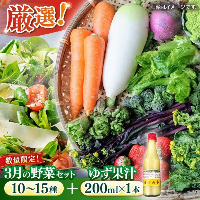 【数量限定】厳選！旬を味わう高槻野菜詰め合わせ 3月（10〜15種）＆農家さん自家製ゆず果汁 200ml×1本セット　大阪府高槻市/高槻あぐり[AOCS005] [AOCS005]