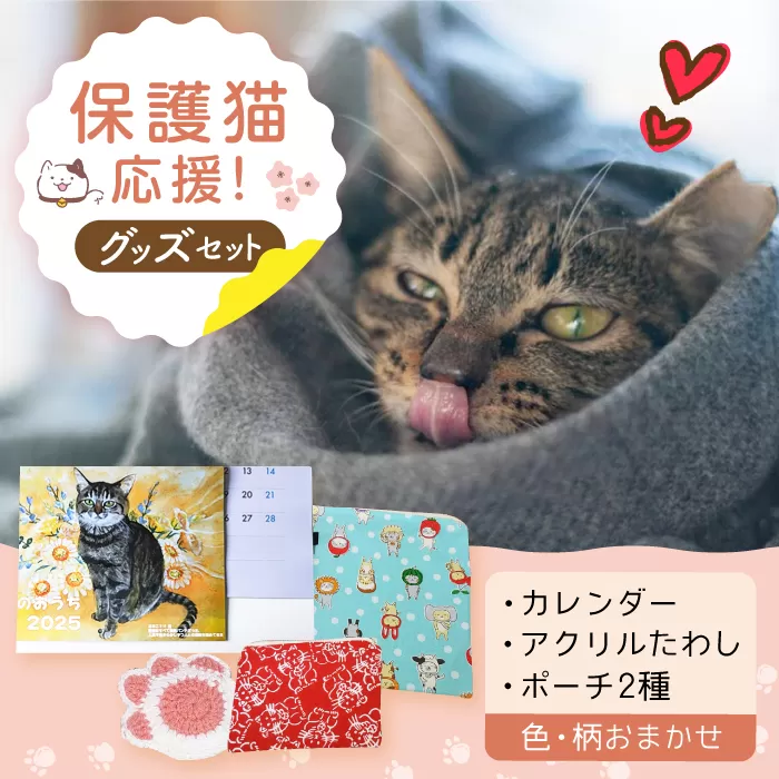 【保護猫応援！】グッズセット（ポーチMLタイプ）　大阪府高槻市/高槻ねこの会・ねこのおうち[AOBR004] 