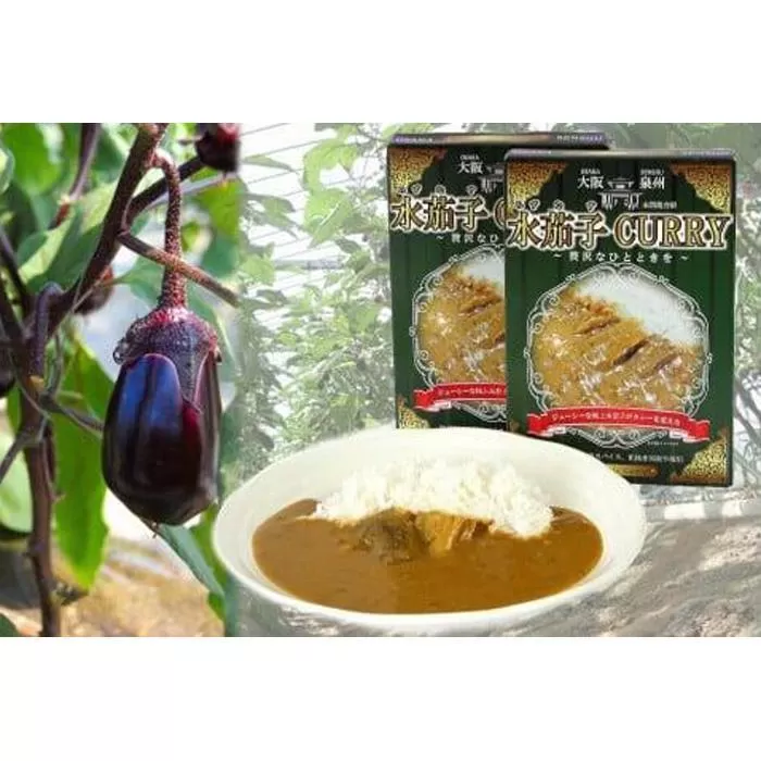 水茄子カレー10個セット