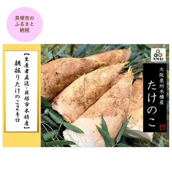 ＜先行予約＞【生産者直送・貝塚市木積産】朝掘りたけのこ２kg