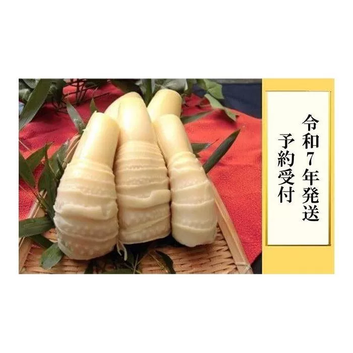 ＜先行予約＞貝塚市木積産　朝掘りボイル筍 約１kg