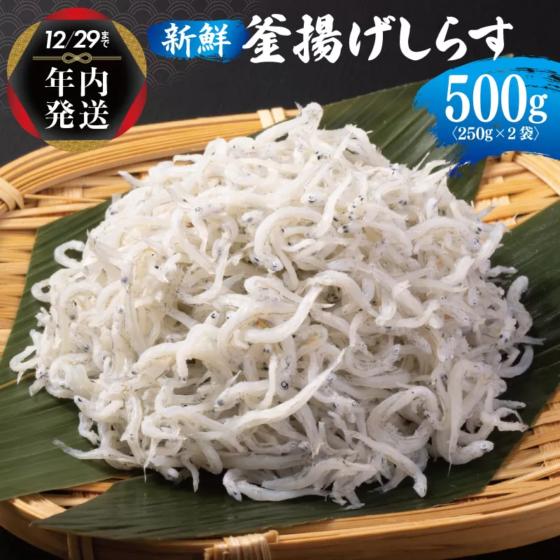 [年内発送] 新鮮 釜揚げしらす 合計 500g 小分け 250g×2P