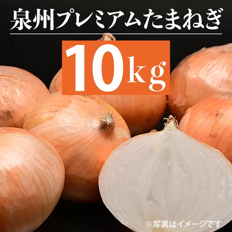 射手矢さんちの泉州プレミアムたまねぎ 10kg 【玉ねぎ タマネギ 玉葱 甘い 野菜 国産 訳あり サイズ不揃い 期間限定 オニオン スライス サラダ カレー シチュー バーベキュー BBQ 肉じゃが】