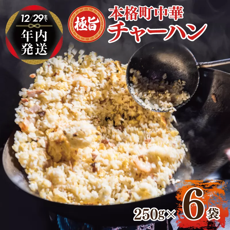 【年内発送】 極旨 チャーハン 250g×6袋 本格町中華 冷凍炒飯 小分け 簡単調理 6人前