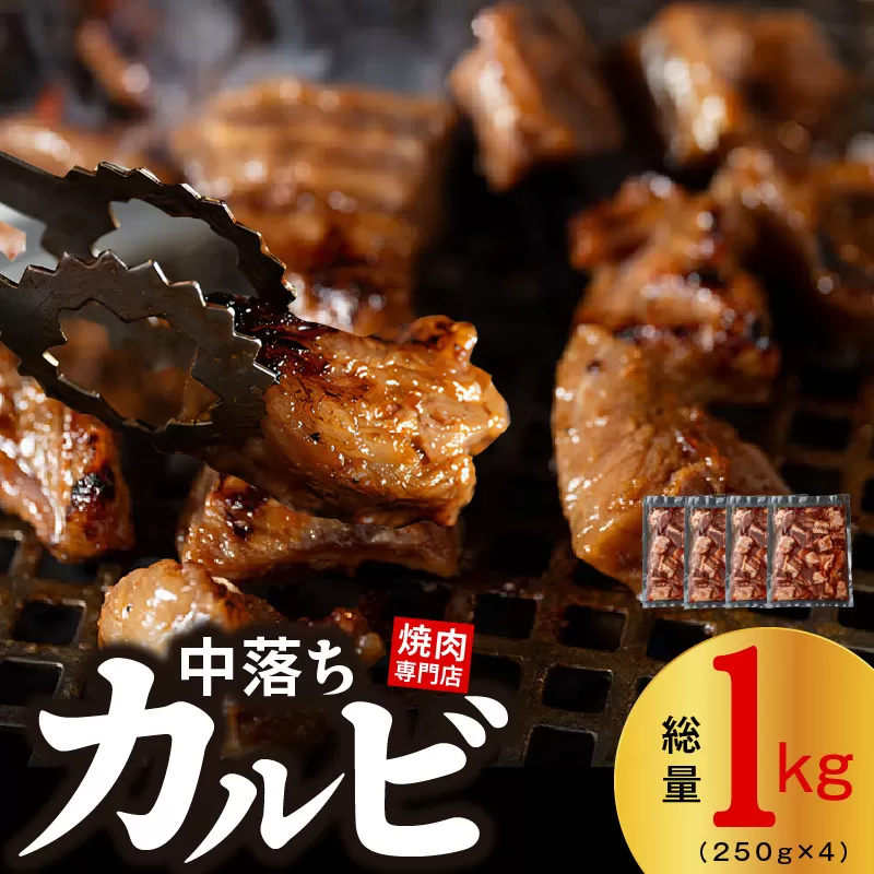 焼き肉専門店 自家製タレ漬け 中落カルビ 総量1kg 小分け 250g×4