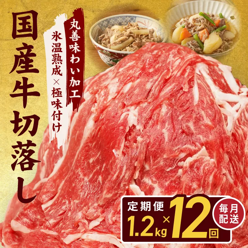 【氷温熟成×極味付け】国産 牛肉 切り落とし 定期便 1.2kg×全12回 総量 14.4kg 丸善味わい加工【毎月配送コース】