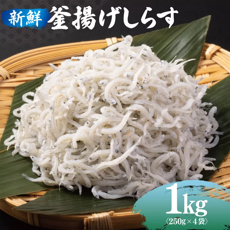 新鮮 釜揚げしらす 合計 1kg 小分け 250g×4P