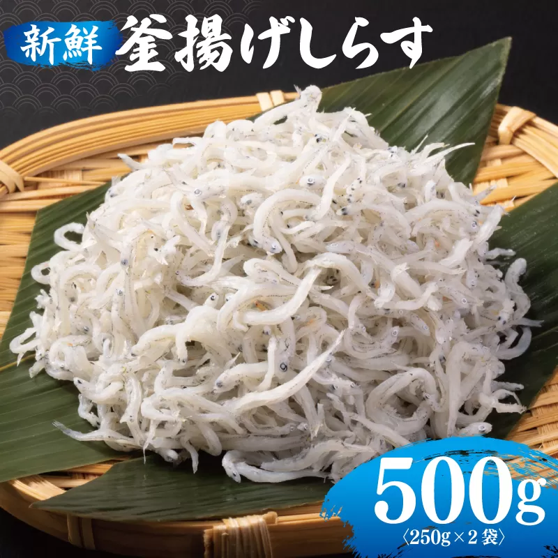 新鮮 釜揚げしらす 合計 500g 小分け 250g×2P