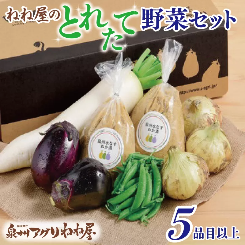 ねね屋のとれたて野菜セット 5品目以上 詰め合わせ