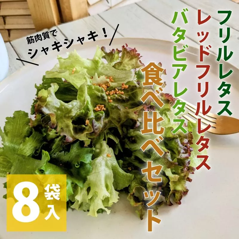 【栽培期間中農薬不使用】フリルレタス／レッドフリルレタス／バタビアレタス 食べ比べセット（8袋入り）