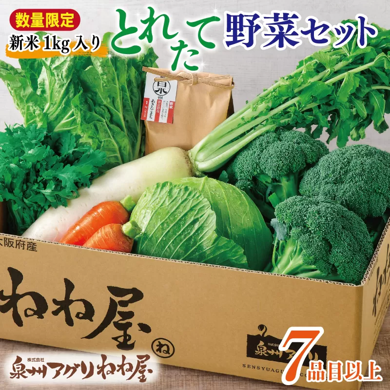 【数量限定】【新米1kg入り】ねね屋の採れたて野菜セット 7品目以上 詰め合わせ 期間限定