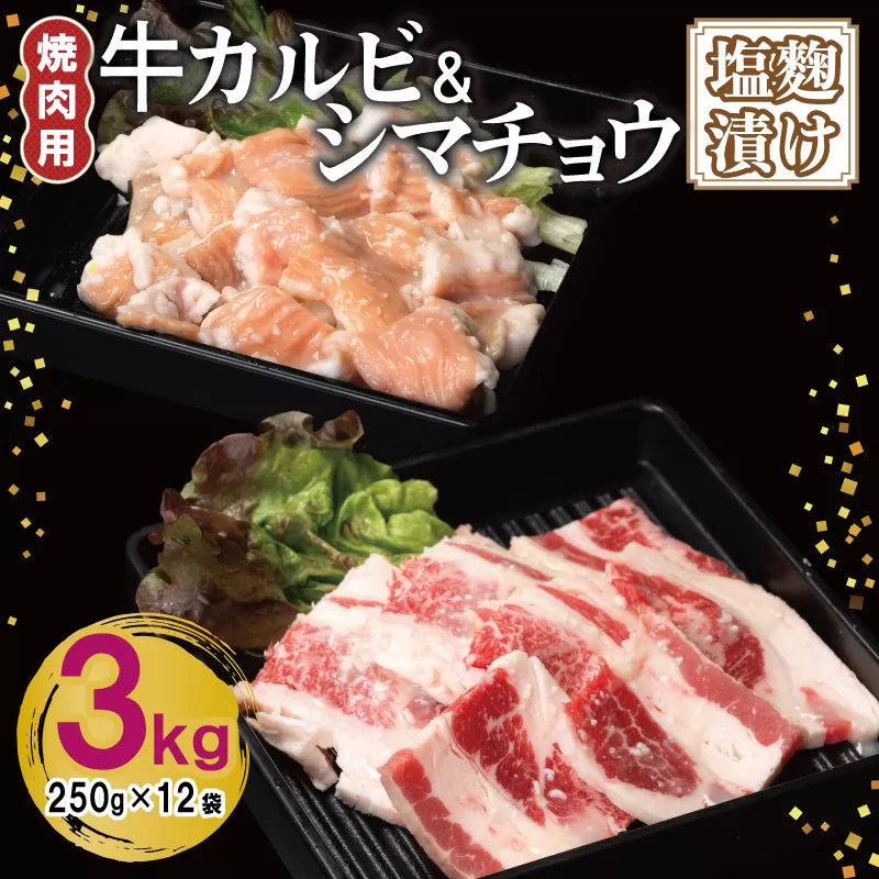 牛カルビ＆シマチョウ 塩麹漬け 焼肉セット 合計3kg【味付け 小分け 焼くだけ 簡単調理 BBQ 250g×12袋 牛肉 ホルモン】