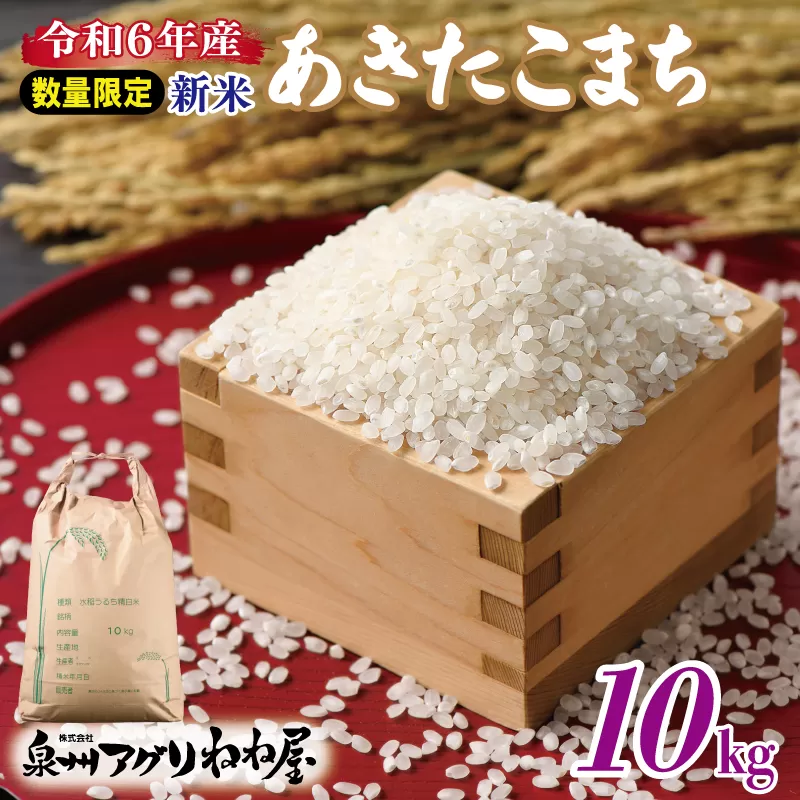 【数量限定】令和6年産 ねね屋の新米 『あきたこまち』 10kg 泉佐野産 白米 お米