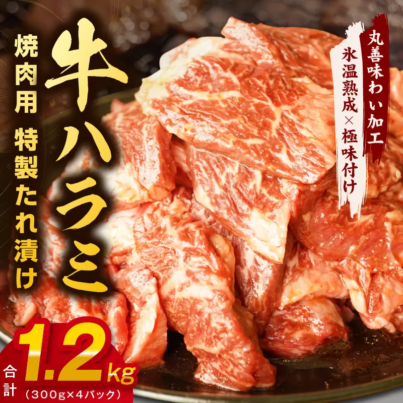 牛肉 ハラミ 1.2kg 小分け 300g×4P【氷温熟成×特製ダレ 味付き 牛肉 訳あり 不揃い 焼肉 BBQ 野菜炒め】