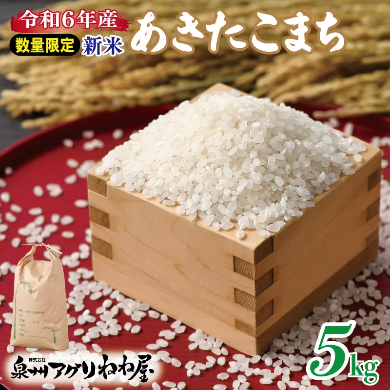 【数量限定】令和6年産 ねね屋の新米 『あきたこまち』 5kg 泉佐野産 白米 お米