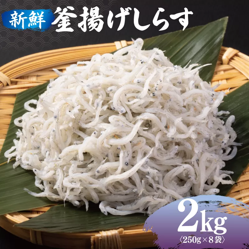 新鮮 釜揚げしらす 合計 2kg 小分け 250g×8P