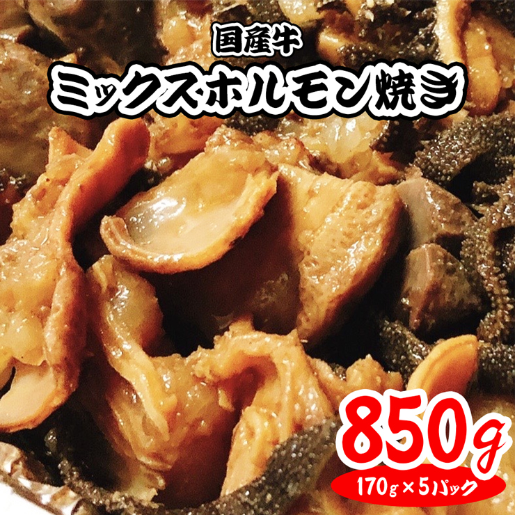 チンするだけ！]【秘伝のタレ漬け】国産牛ミックスホルモン焼き850g(170g×5パック)[鮮度を保つCAS冷凍]｜味付け肉 加工品 お惣菜 おかず  おつまみ 冷凍 簡単調理 小分け キャンプ パーティー 宅のみ 宅飲み [0575]｜寝屋川市｜大阪府｜返礼品をさがす｜まいふる by AEON  CARD