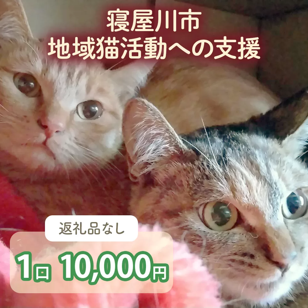 [返礼品なし] 寝屋川市地域猫活動への支援 1口1万円 [0796]