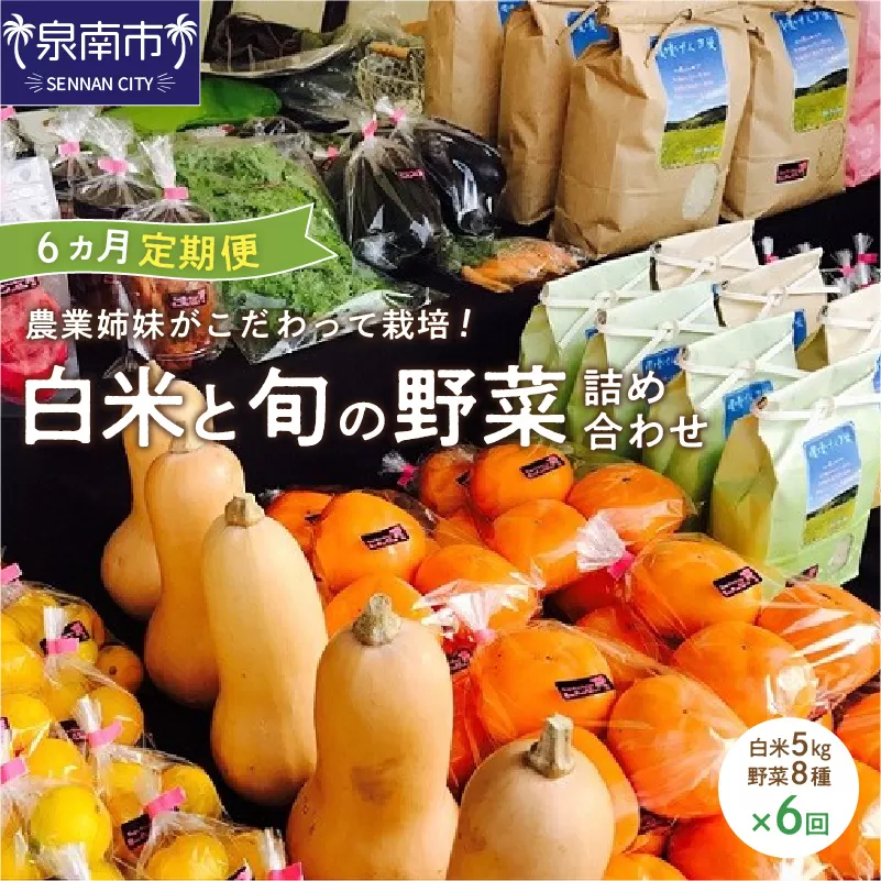 農業姉妹がこだわって栽培！白米5kgと旬の野菜詰め合わせ8種 半年定期便【024A-018】