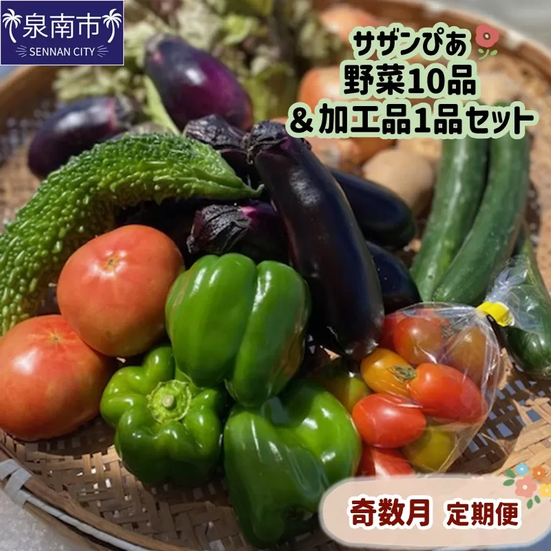 サザンぴあ 野菜10品＆加工品1品セット 奇数月定期便【015A-003】