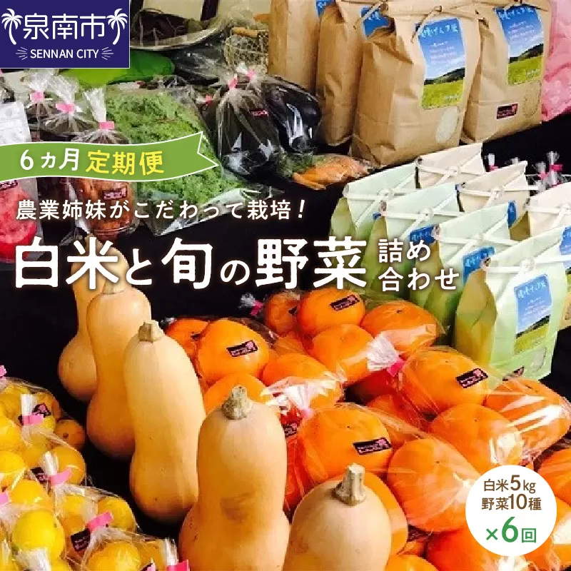 農業姉妹がこだわって栽培！白米5kgと旬の野菜10種 半年定期便【024A-020】