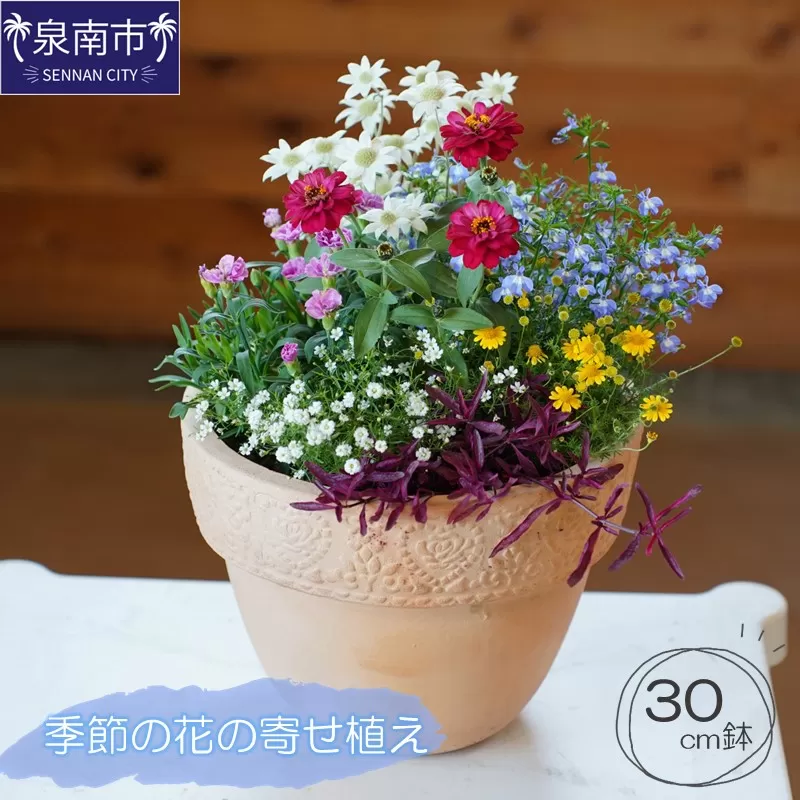 季節の花の寄せ植え 30cm【005D-007】