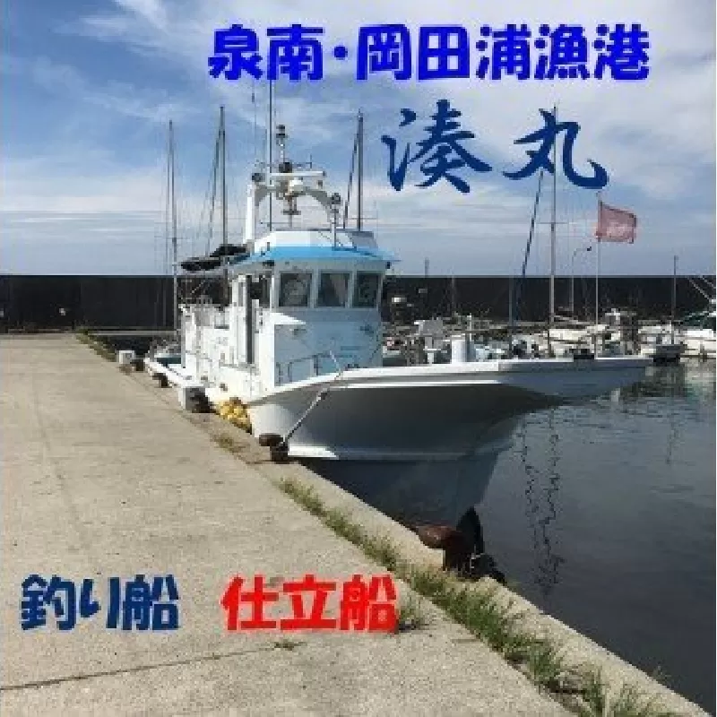 【泉南・岡田浦漁港】釣り船 湊丸 貸切船 8名様まで【049A-001】