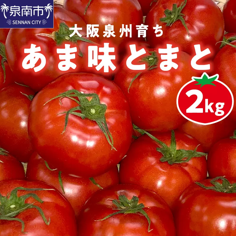 大阪泉州育ち あま味とまと 2kg【051D-009】