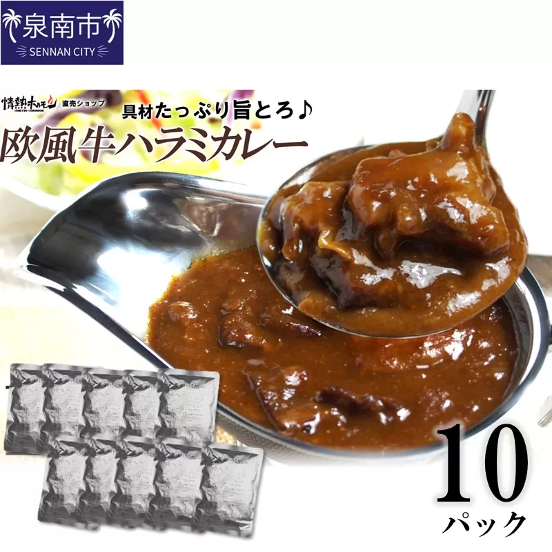 欧風牛ハラミカレー（200g×10パック）【配送不可地域：北海道・沖縄】【069D-012】